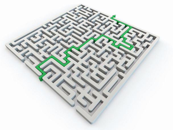 نکات مهم برای انتخاب بهترین کنسرو گربه: ۱۲ نکته مهم